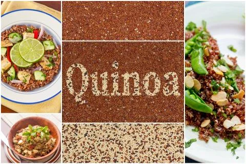 Quinoa Salad Collage Stock Photos
