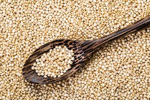 Quinoa seed Stock Photos