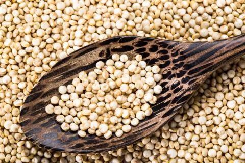 Quinoa seed Stock Photos
