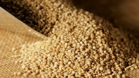 Quinoa seeds close up 스톡 동영상 11019882