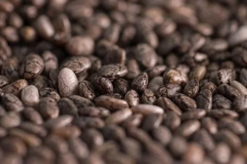 Quinoa seeds in the close Stock Photos