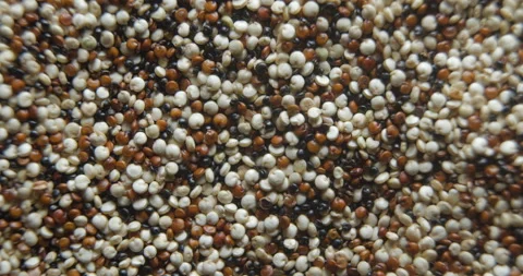 Quinoa seeds close up studio shot over rotating Stock-Footage 324840913
