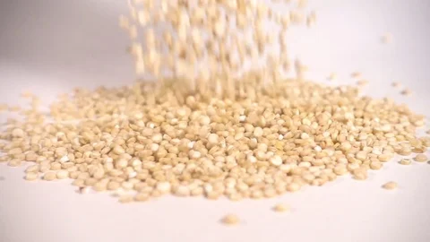 Quinoa seeds fall in slow motion Stock Footage 77392680