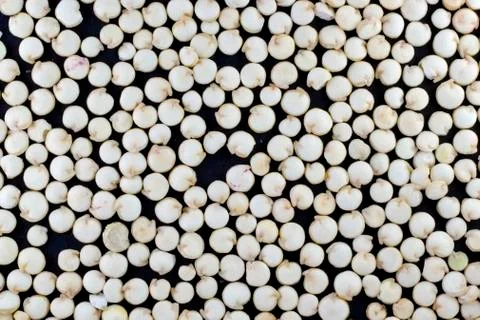 Quinoa seeds. Stock Photos