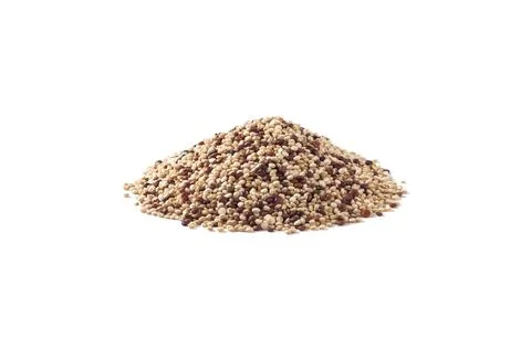 Quinoa seeds Foto stock