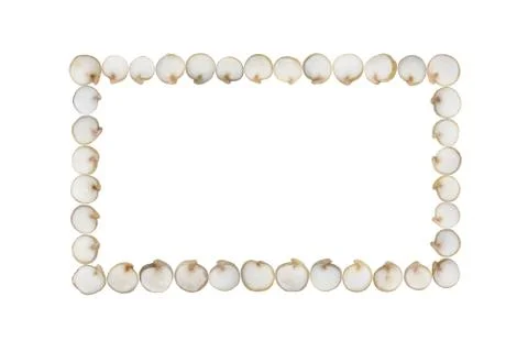 Quinoa seeds in rectangle shape Stock Photos