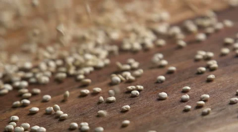 Quinoa slow motion 스톡 동영상 49739392