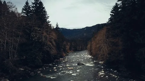 Quintessential Pacific Northwest 動画素材 88980203