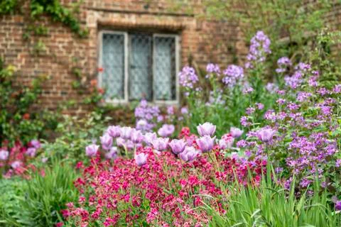 Quintessential vibrant English country garden scene landscape with fresh Spri Stock Photos