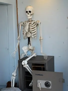 A quirky display featuring a plastic skeleton seated on an open safe 库存照片