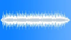 Quirky Turkey Stock Music