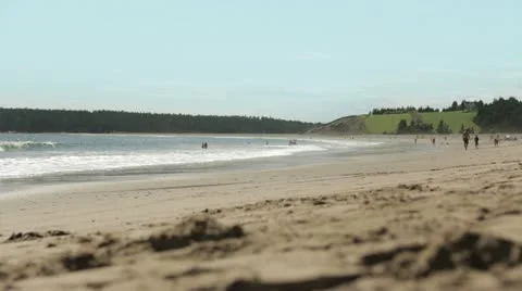 Quite Beach Vidéo 12003922