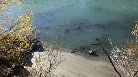 Quite Spot by the River Stock Footage 68162995