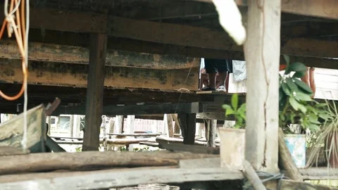 Quitos,  poor areas of Iquitos.  peruvian man pissing in the river. Stock Footage 197073304