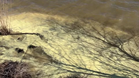 Quivering reflection Stock Footage 312967052