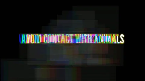 Quote 004 Video stock 127808006