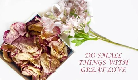 Quote Do small things with great love written in calligraphy style on paper.. Stock Photos