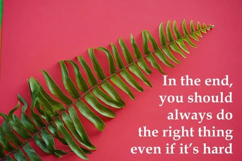 Quote, In the end you should always do the right thing even if its hard Fotos de archivo