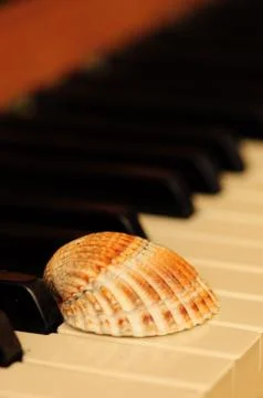 &amp;quot;Keyshell.&amp;quot; Stock Photos