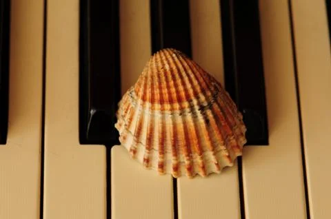 &amp;quot;Keyshell.&amp;quot; Stock Photos