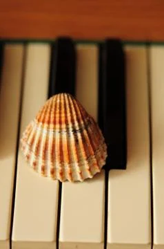 &amp;quot;Keyshell.&amp;quot; Stock Photos