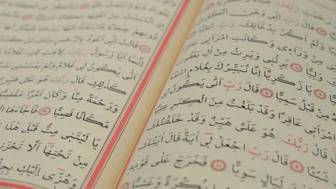 Quran close up Stock Footage 236003197