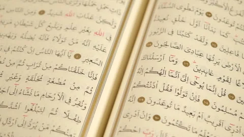Quran Pages Close Up Stock Footage 259084876
