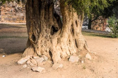 Qutb complex (Qutub),  an array of monuments and buildings at Mehrauli in Del Foto stock
