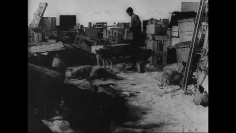 R. Byrd reveals he moved the dock to send his men to Ruppert ship - 1933-1935 Stockbeeldmateriaal 98560798