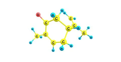R-Carvone molecular structure isolated on white Stock Illustration