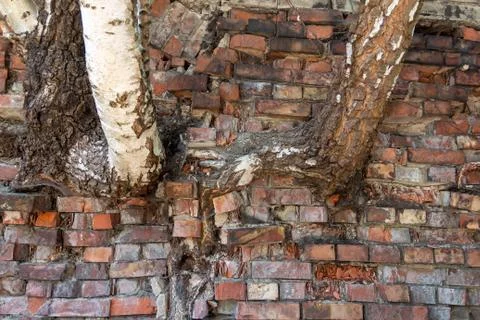 R dilapidated construction objects of brick and concrete on the outskirts of the Stock Photos