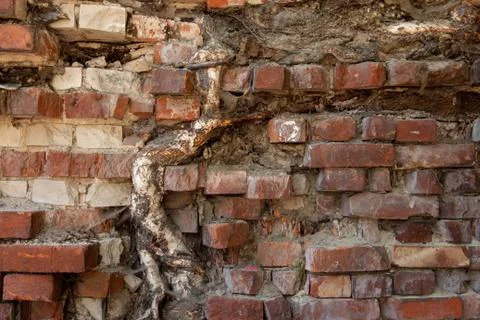 R dilapidated construction objects of brick and concrete on the outskirts of the Stock Photos