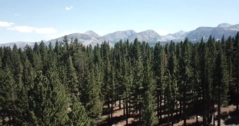 R-L Pan Across Eastern Sierra Nevada Mountains Inyo National Forest Video stock 219581470