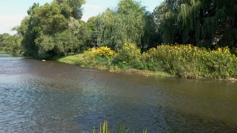 R to L pan shot looking upstream of river.  A7R319 Vidéo 96928705