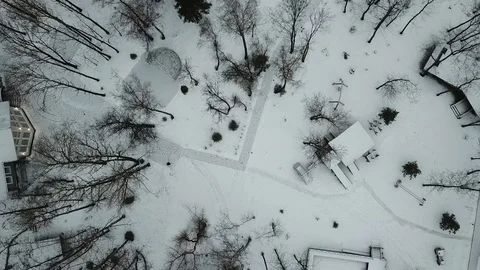 R parallel to the ground. Drone flying in winter. Bare trees in the winter in th Stock-Footage 124701964