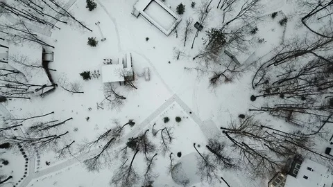 R parallel to the ground. Drone flying in winter. Bare trees in the winter in th Stock Footage 124703060