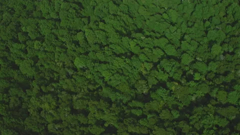 R002 C003 0324IU Stock Footage 158521525
