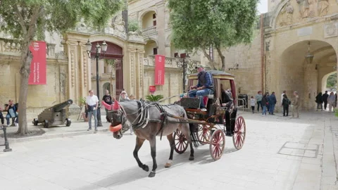 Rabat City in Malta Stock Footage 310836443