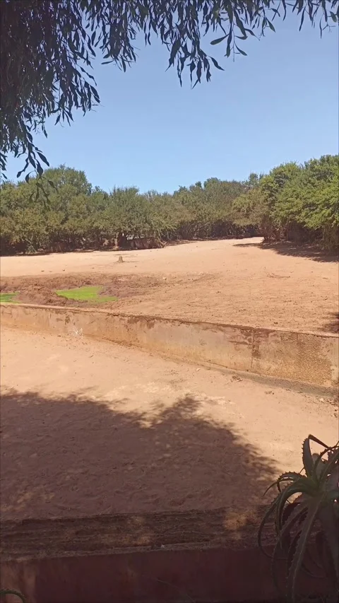 Rabat Temara Zoo Empty Outdoor Animal Enclosure Sunny Day Stock Footage 343959463