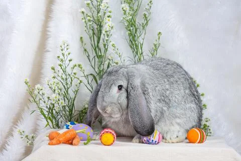 Rabbit and easter eggs in green Stock Photos
