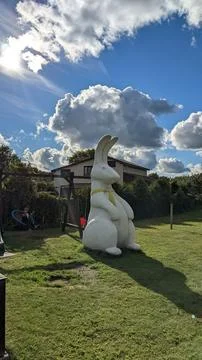 Rabbit and Sky Stock Photos