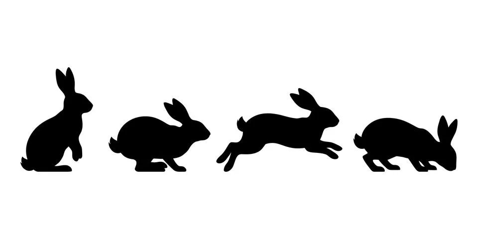 Rabbit animal silhouette set bundle, cute bunny vector illustration 스톡 일러스트
