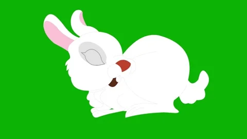 Rabbit Animation – Green Screen. Cute rabbit moving and hopping for animal  Stock Footage 325495491