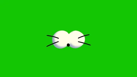 Rabbit animation on green screen 動画素材 341541707