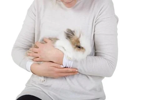 Rabbit on the arm 写真素材