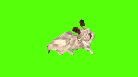 Rabbit Attack Green Screen Animation 4K Rendering Video stock 295557929