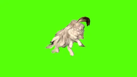 Rabbit Attack  Green Screen Animation 4K Rendering Video stock 295557963
