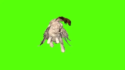 Rabbit Attack Green Screen Animation 4K Rendering Video stock 295557965
