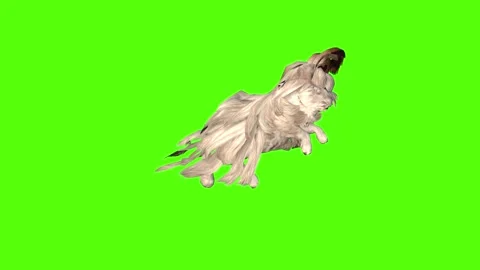 Rabbit Attack  Green Screen Animation 4K Rendering Video stock 295557978