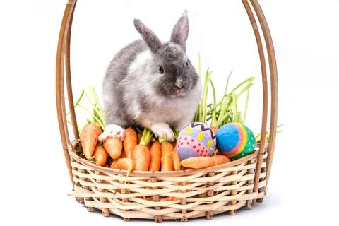 Rabbit on the basket with carrots and Easter eggs isolated on white backgroun Stock Photos